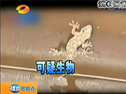 萬能的朋友圈，如果你能解釋通這組圖；凈水設(shè)備就可以不要了